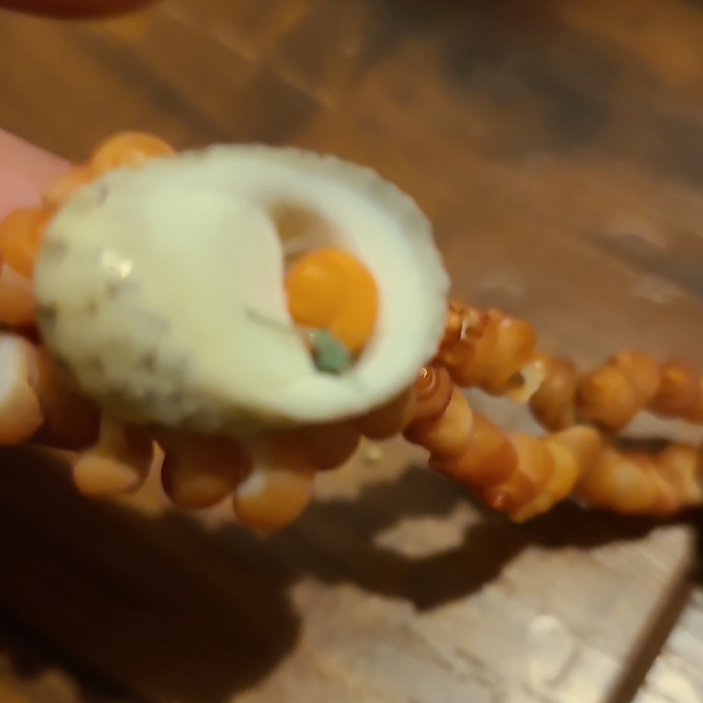 Rare Vintage Elegant Cream Shell Necklace - Picture 5 of 16